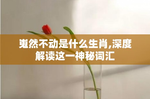 嵬然不动是什么生肖,深度解读这一神秘词汇