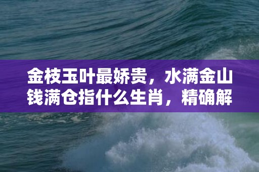 金枝玉叶最娇贵，水满金山钱满仓指什么生肖，精确解读落实