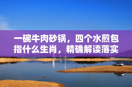 一碗牛肉砂锅，四个水煎包指什么生肖，精确解读落实