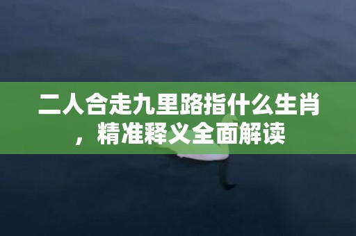 二人合走九里路指什么生肖，精准释义全面解读