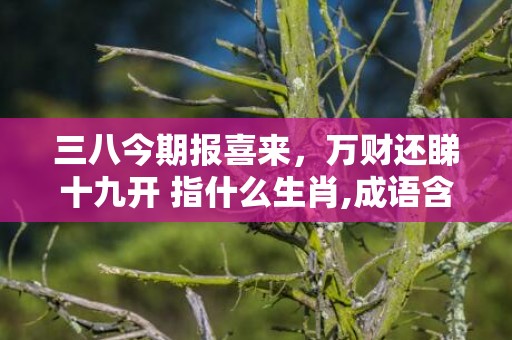 三八今期报喜来，万财还睇十九开 指什么生肖,成语含义深度解读