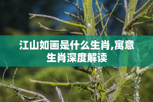 江山如画是什么生肖,寓意生肖深度解读