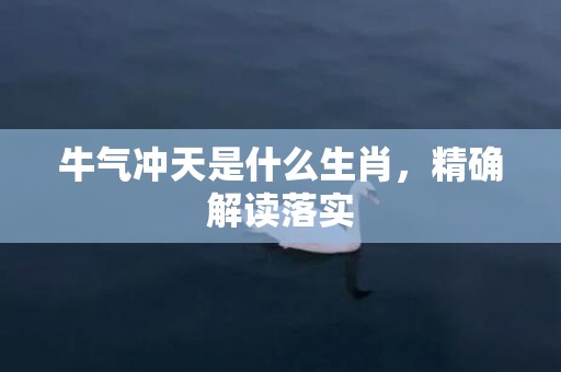 牛气冲天是什么生肖，精确解读落实