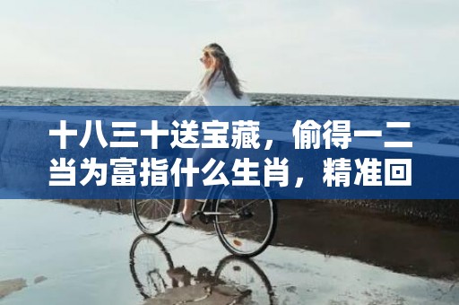 十八三十送宝藏，偷得一二当为富指什么生肖，精准回答精准落地