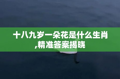 十八九岁一朵花是什么生肖,精准答案揭晓