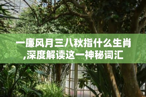 一廉风月三八秋指什么生肖,深度解读这一神秘词汇