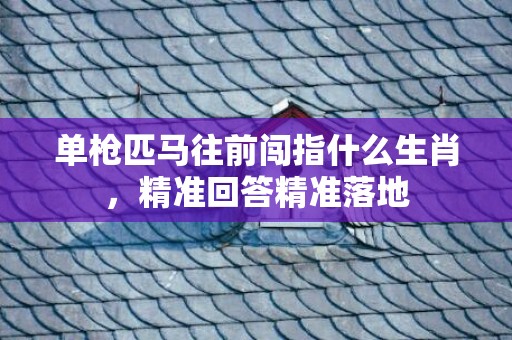 单枪匹马往前闯指什么生肖，精准回答精准落地