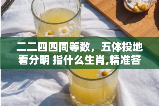 二二四四同等数，五体投地看分明 指什么生肖,精准答案揭晓