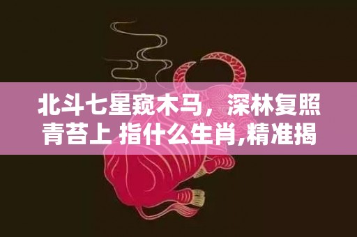 北斗七星窥木马，深林复照青苔上 指什么生肖,精准揭秘相关生肖含义