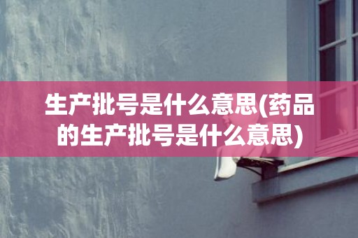 生产批号是什么意思(药品的生产批号是什么意思)