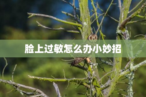 脸上过敏怎么办小妙招