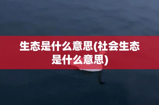 生态是什么意思(社会生态是什么意思)
