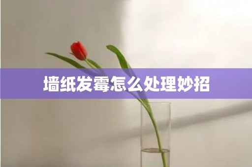 墙纸发霉怎么处理妙招