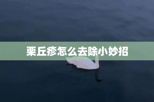 栗丘疹怎么去除小妙招