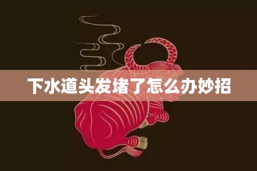下水道头发堵了怎么办妙招