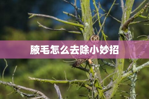 腋毛怎么去除小妙招