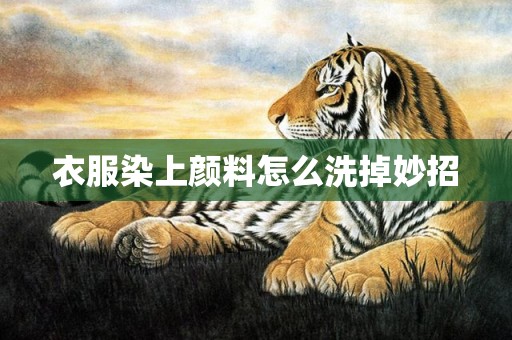 衣服染上颜料怎么洗掉妙招
