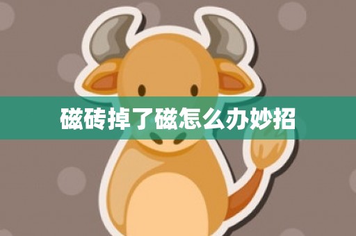磁砖掉了磁怎么办妙招