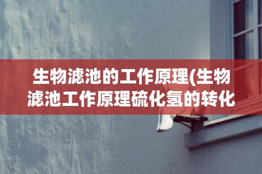 生物滤池的工作原理(生物滤池工作原理硫化氢的转化)