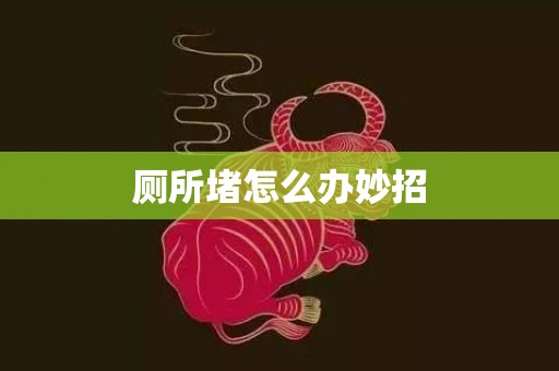 厕所堵怎么办妙招