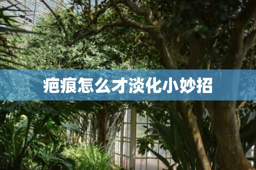 疤痕怎么才淡化小妙招