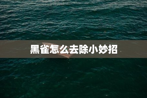 黑雀怎么去除小妙招