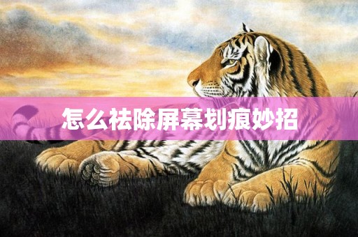 怎么祛除屏幕划痕妙招