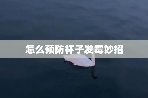 怎么预防杯子发霉妙招
