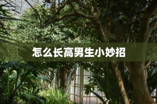 怎么长高男生小妙招