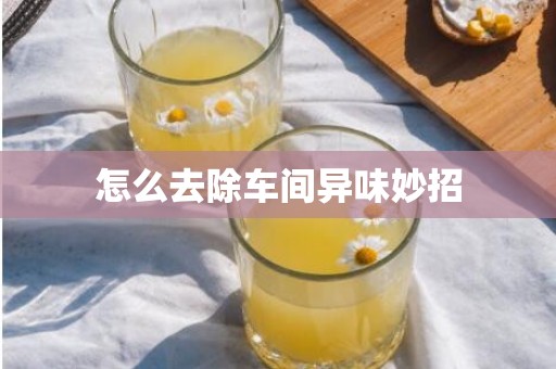 怎么去除车间异味妙招
