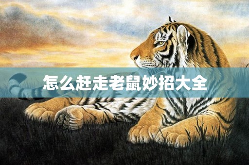 怎么赶走老鼠妙招大全