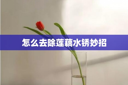 怎么去除莲藕水锈妙招