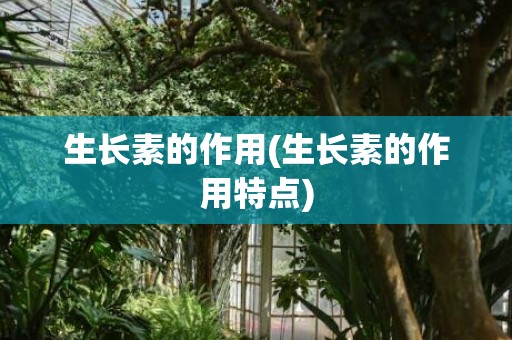 生长素的作用(生长素的作用特点)