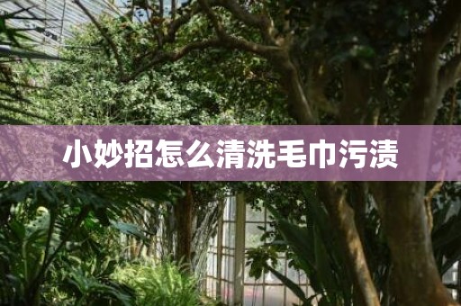 小妙招怎么清洗毛巾污渍