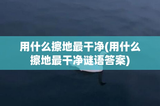 用什么擦地最干净(用什么擦地最干净谜语答案)