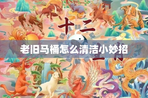 老旧马桶怎么清洁小妙招