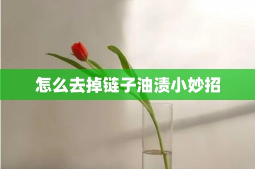 怎么去掉链子油渍小妙招
