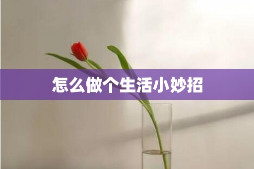 怎么做个生活小妙招