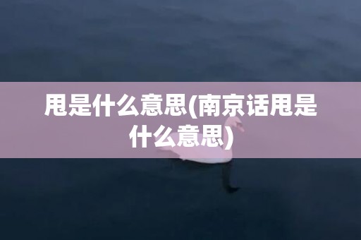 甩是什么意思(南京话甩是什么意思)