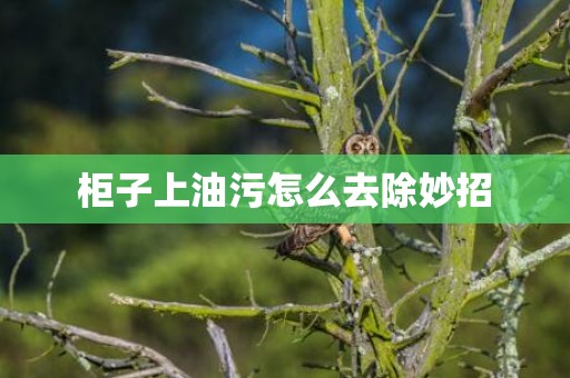 柜子上油污怎么去除妙招