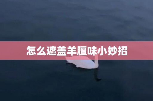 怎么遮盖羊膻味小妙招