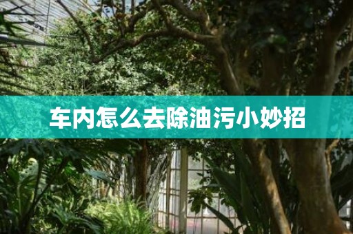 车内怎么去除油污小妙招