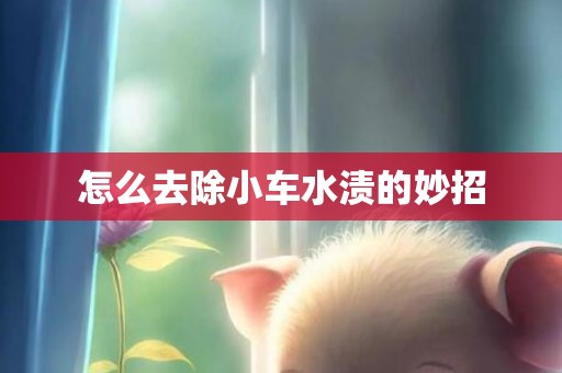 怎么去除小车水渍的妙招