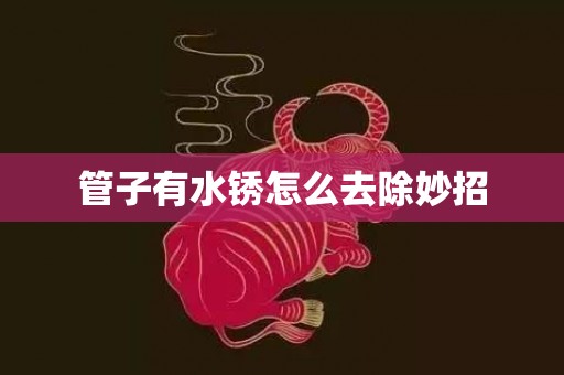 管子有水锈怎么去除妙招