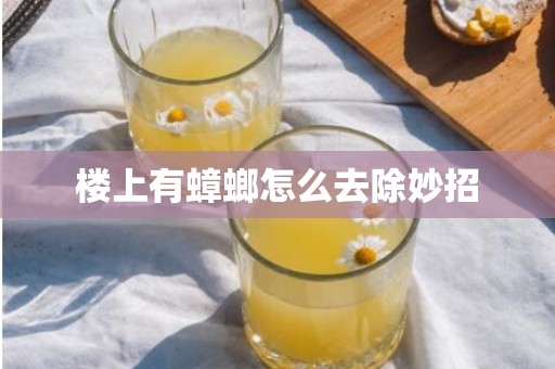 楼上有蟑螂怎么去除妙招