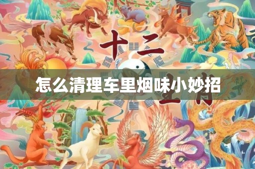 怎么清理车里烟味小妙招