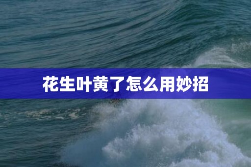 花生叶黄了怎么用妙招