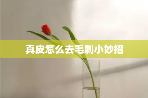 真皮怎么去毛刺小妙招