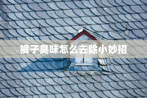 裤子臭味怎么去除小妙招