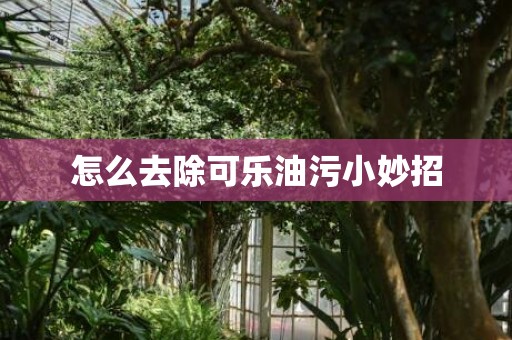 怎么去除可乐油污小妙招
